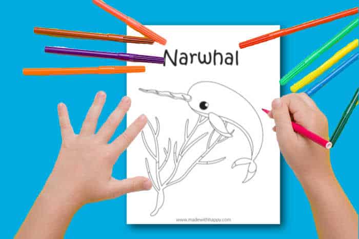 Free printable narwhal coloring page