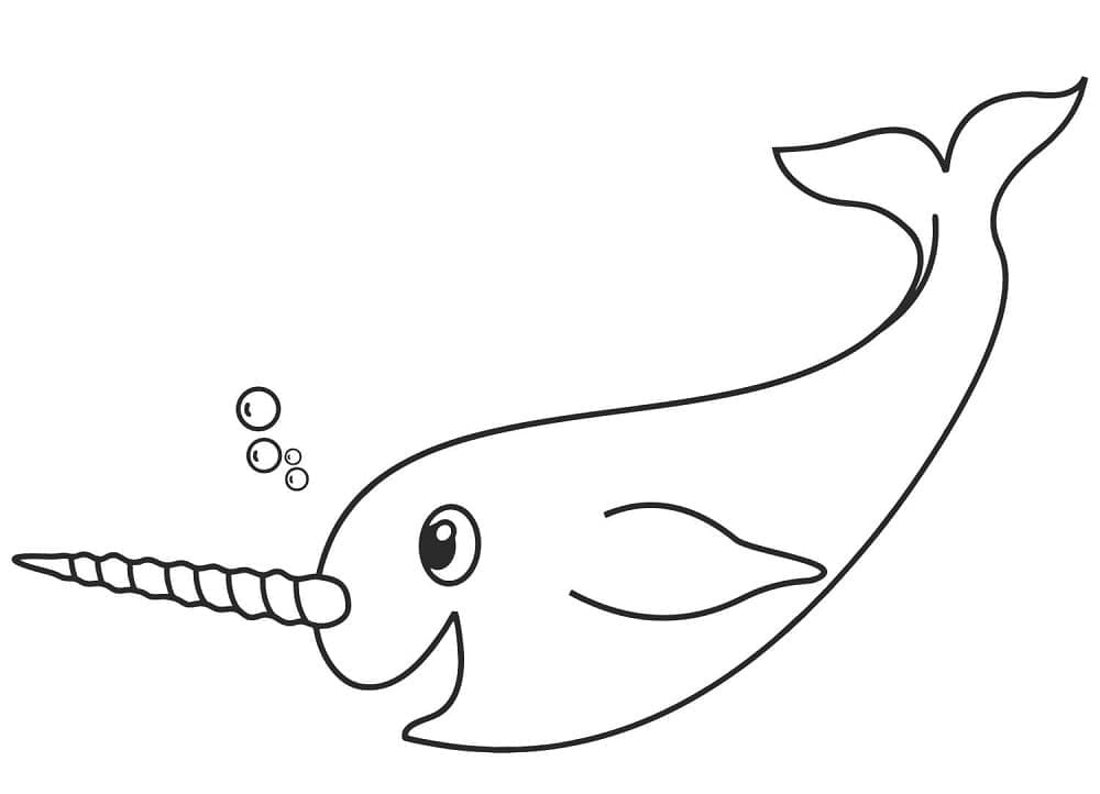 Narwhal printable coloring page