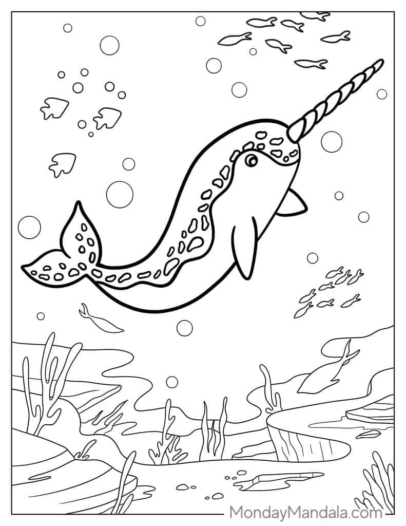 Narwhal coloring pages free pdf printables