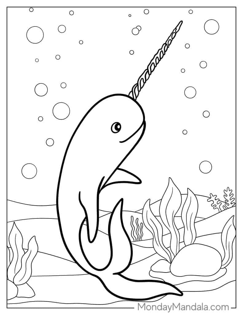 Narwhal coloring pages free pdf printables