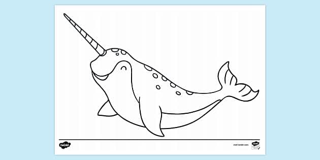 Narwhal louring sheet