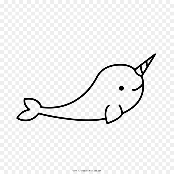 Free narwhal drawing coloring book marine mammal animal