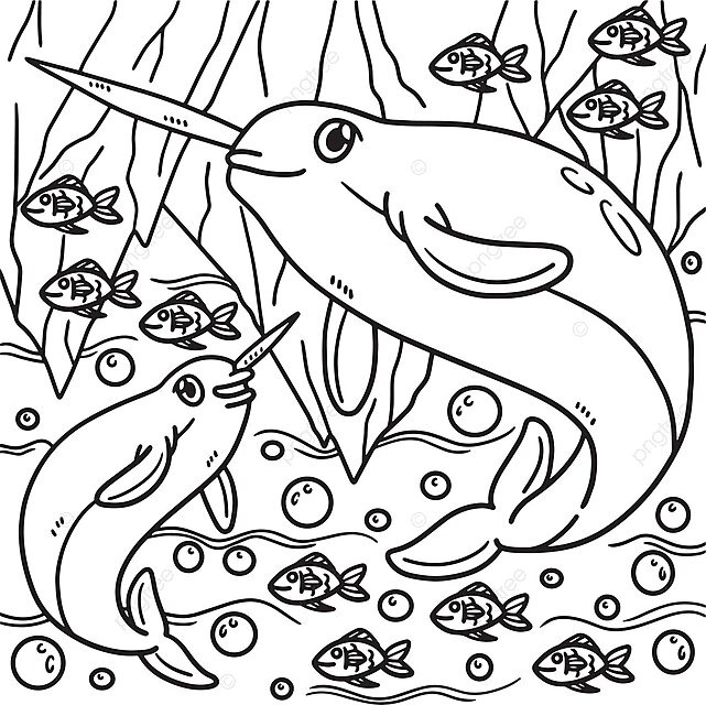 Narwhal coloring page for kids ocean coloring line vector ocean coloring line png and vector with transparent background for free download