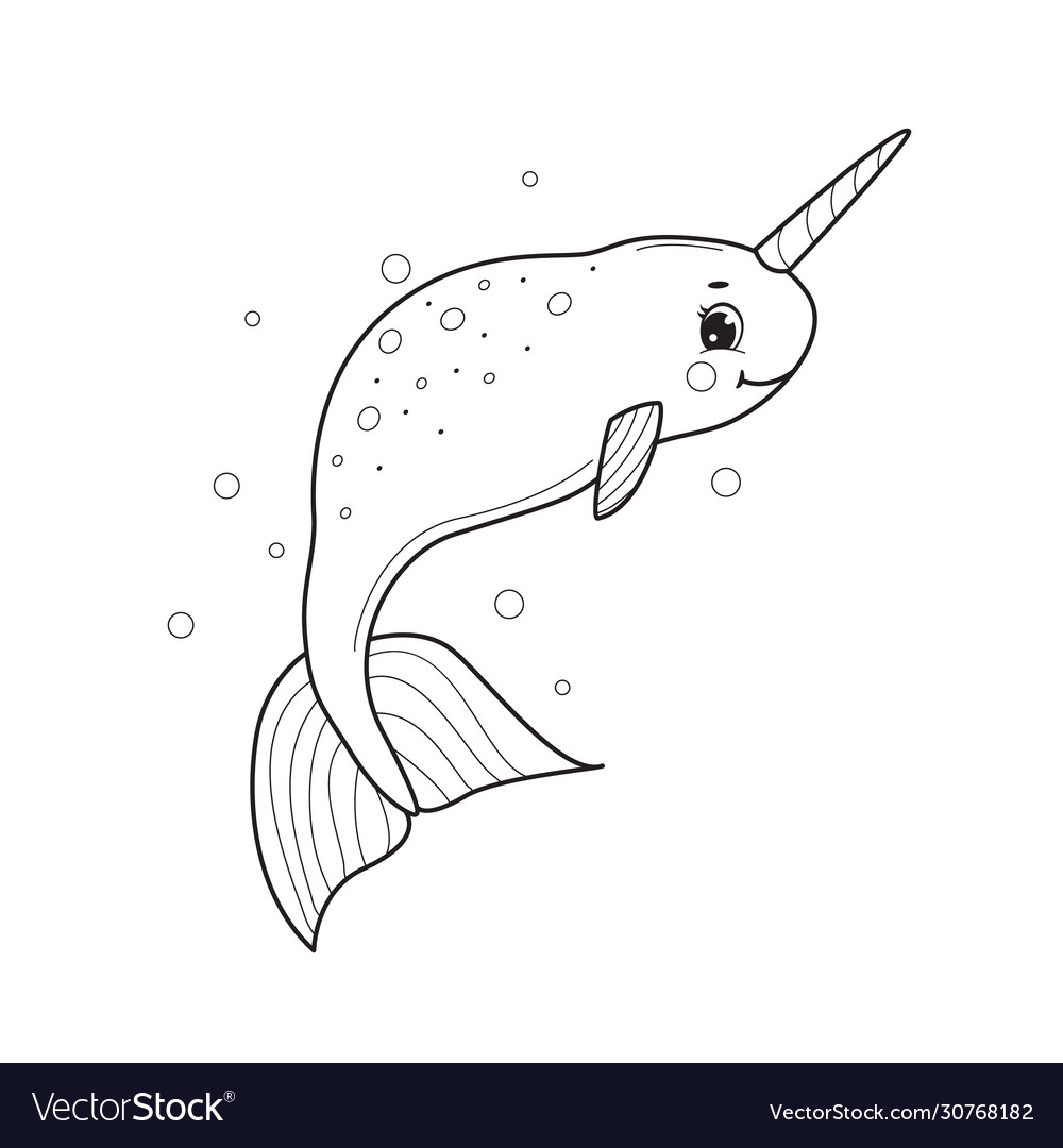 Narwhal for coloring bookline art design kids vector image