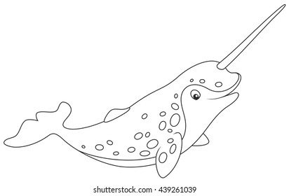 Narwhal colouring images stock photos d objects vectors