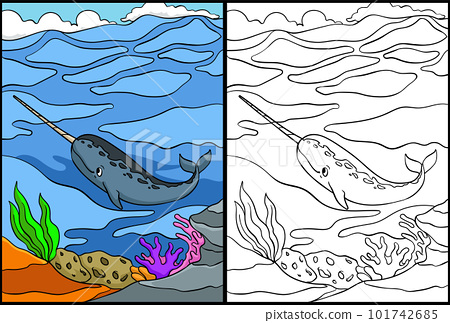 Narwhal coloring page colored illustration