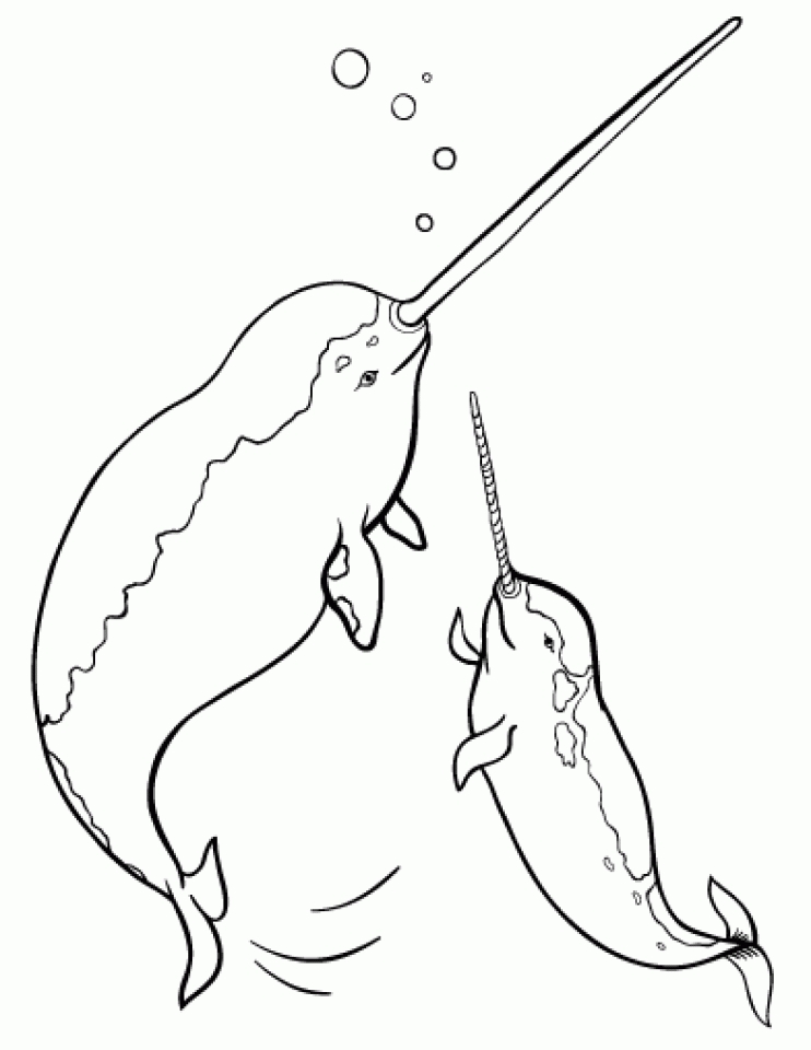 Get this printable narwhal coloring pages