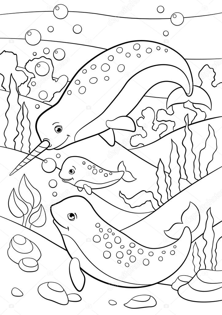 Coloring pages mother father and baby narwhals swim stock vector by ya