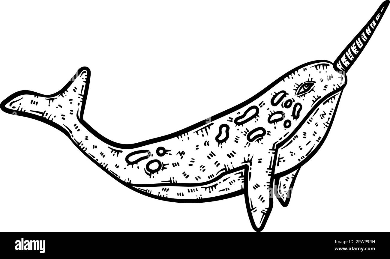 Narwhal animal coloring page for adults stock vector image art