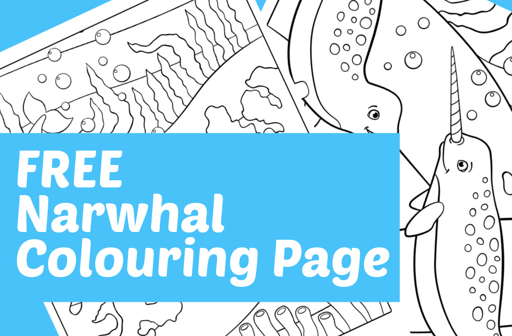 Free narwhal louring page printable