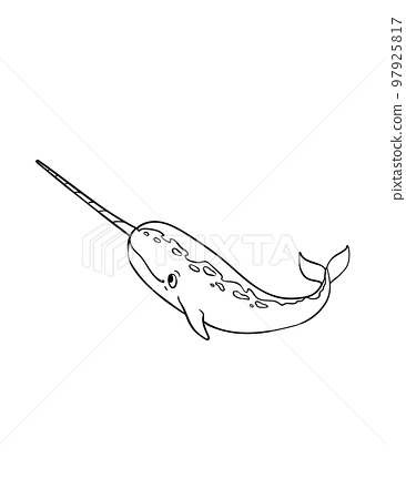 Narwhal isolated coloring page for kids