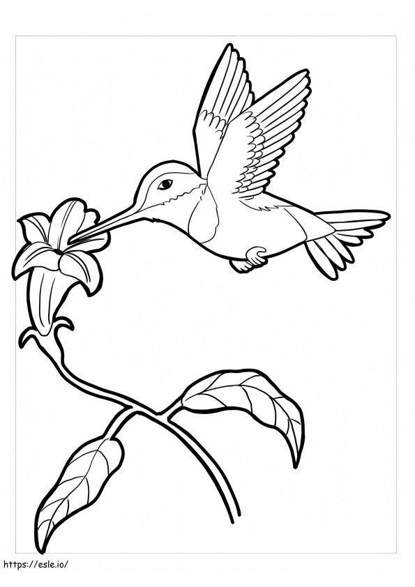 Basic sketches coloring pages