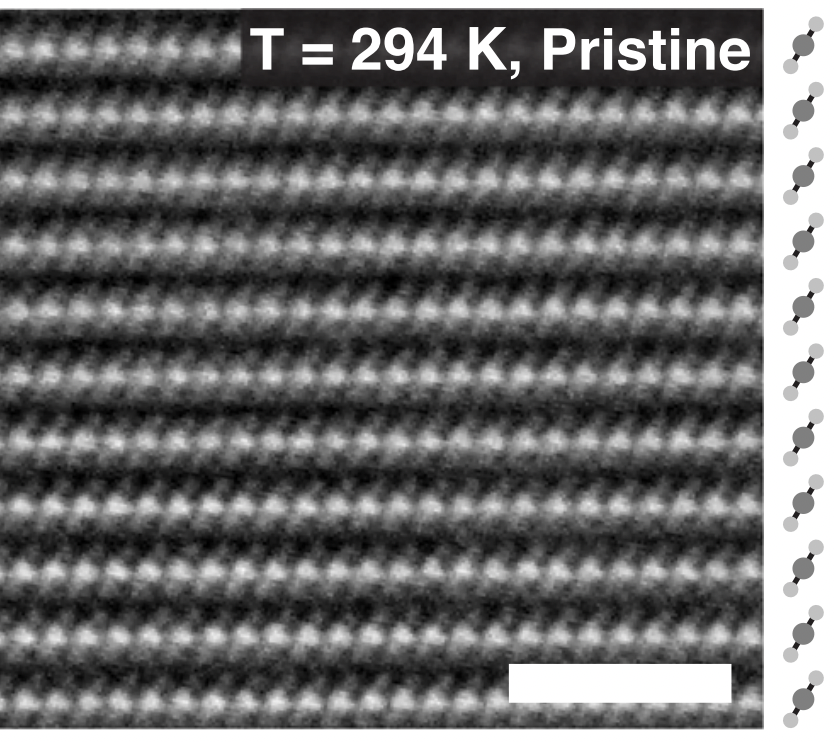 Fileatomic resolution image of tantalum disulfidepng