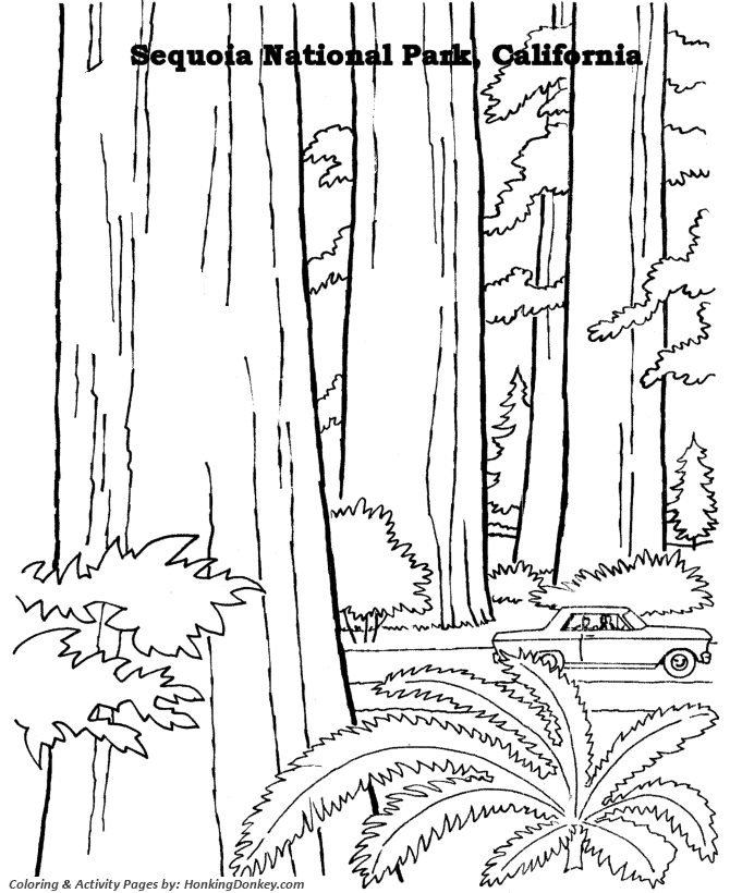 Arbor day coloring pages