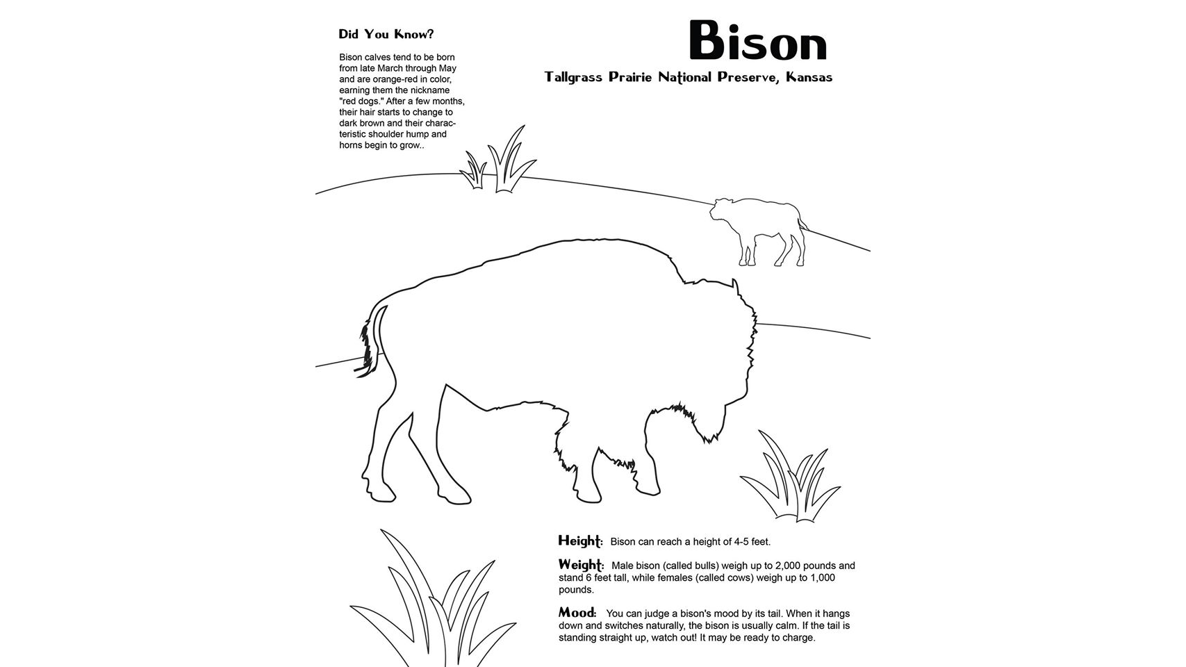 National park coloring sheets