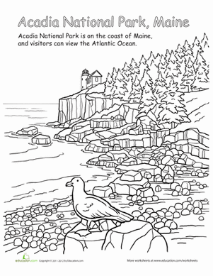 Acadia national park worksheet education acadia national park acadia national park kids national parks