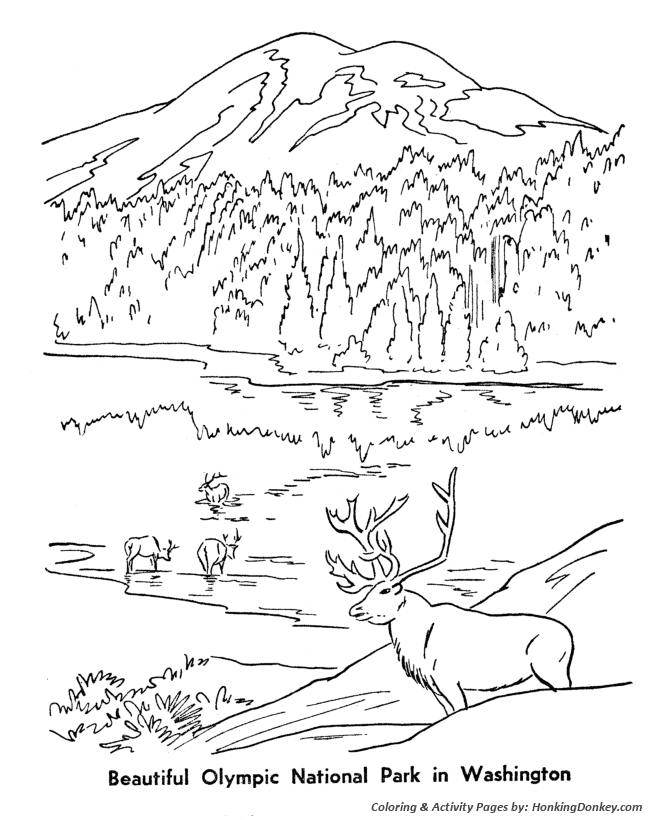 Arbor day coloring pages