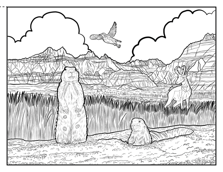 National park coloring book â