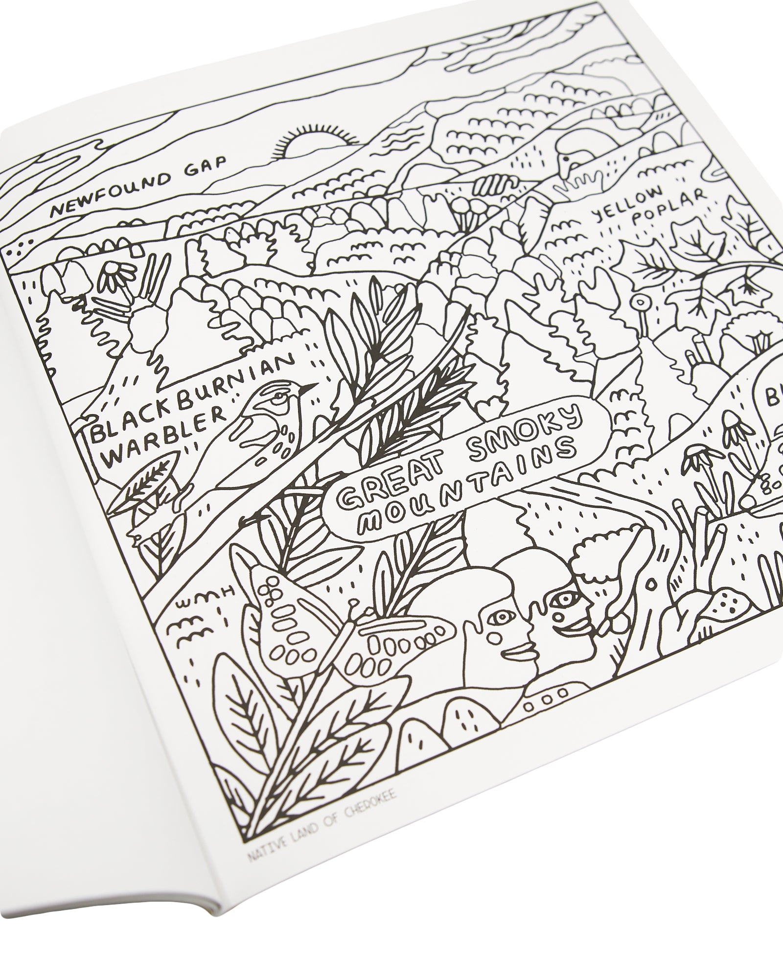 Shop our national parks coloring book inspired by our national parks â parks project