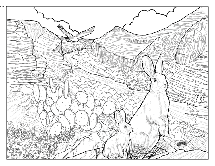 National park coloring book â