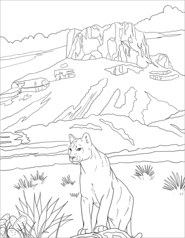 Big bend national park coloring page free printable coloring pages