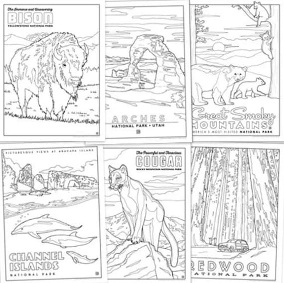 National parks coloring book by anderson design group kids activity book childrens coloring book