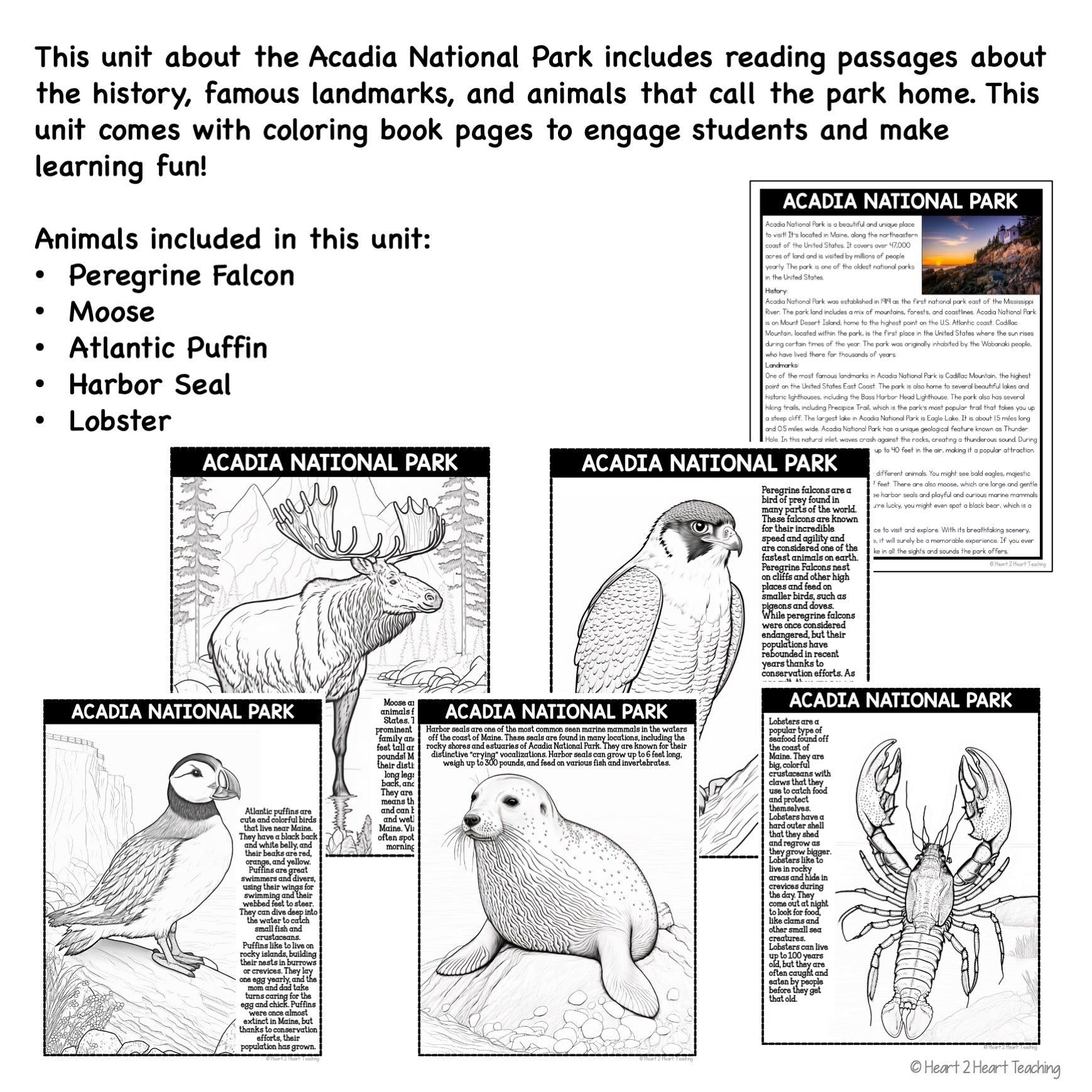 Acadia national park coloring pages â heart heart teaching