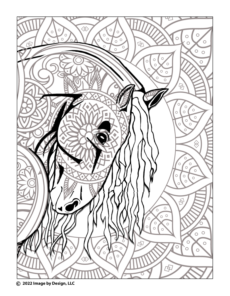 Friesian head coloring page â tracy mattox authorartist graphic designer