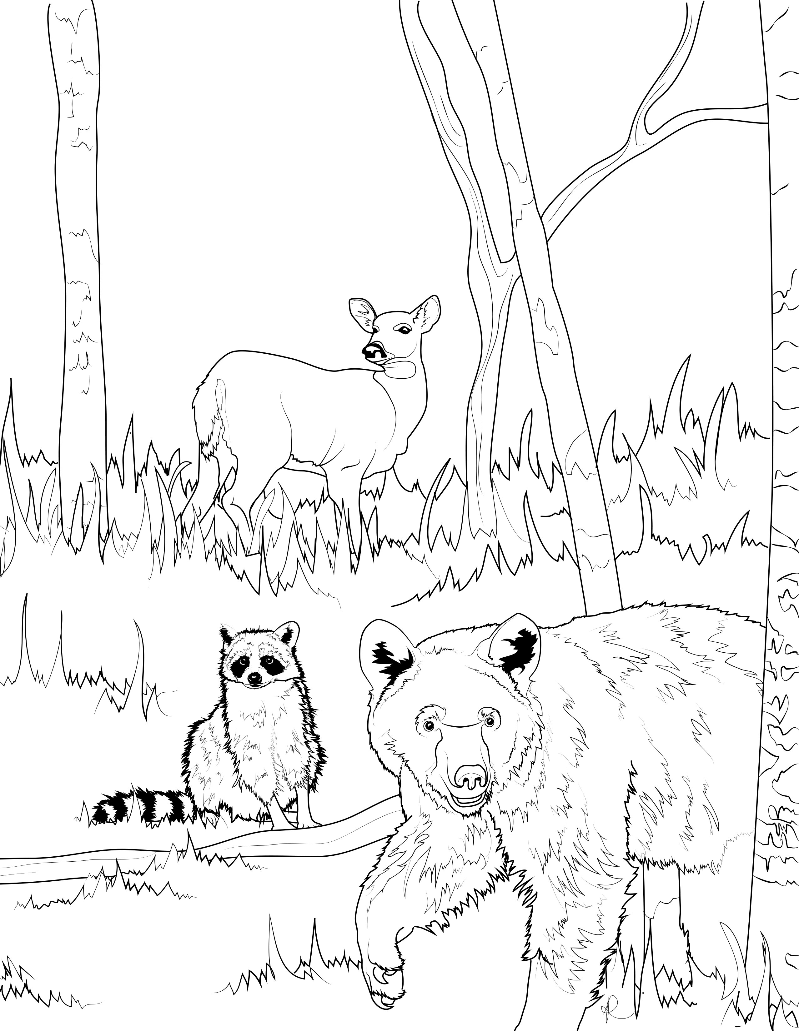 Free coloring pages â frisco native american museum