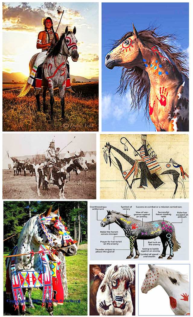 Indian warhorse paint