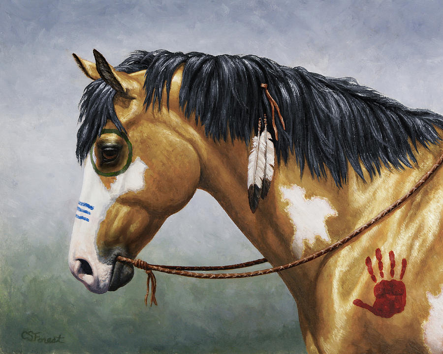 Buckskin native american war horse painting by crista forest