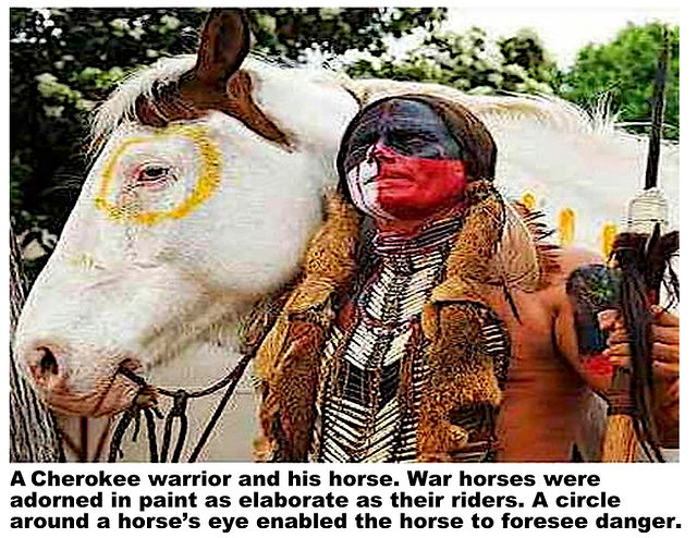 Indian warhorse paint