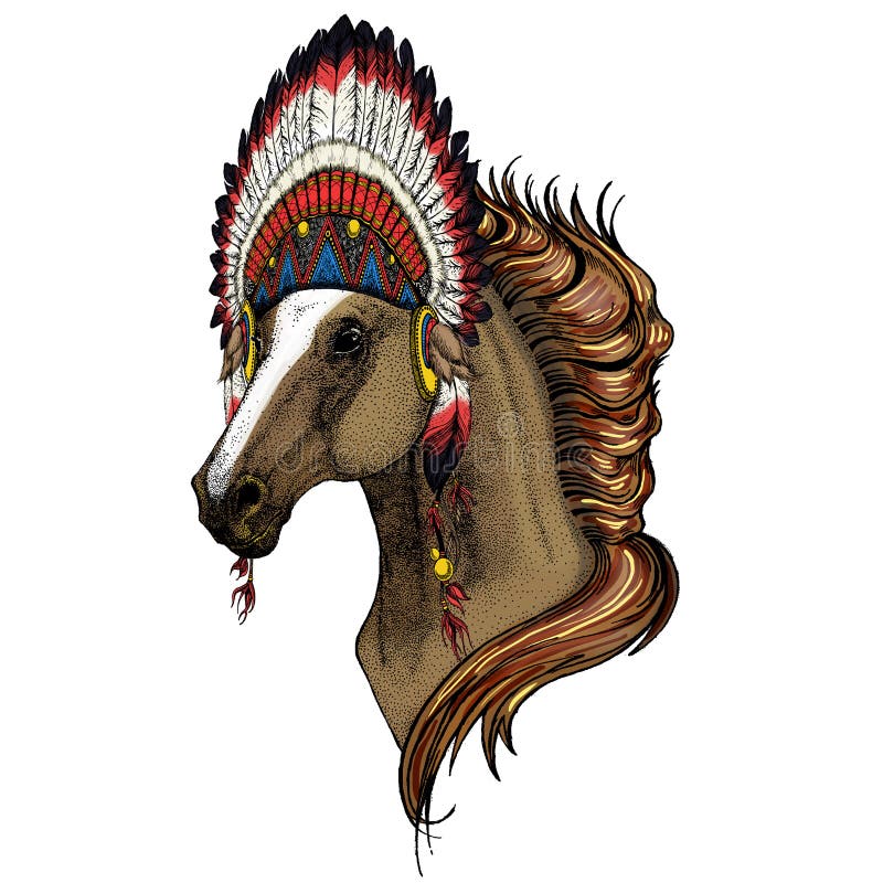 Indian war horse stock illustrations â indian war horse stock illustrations vectors clipart