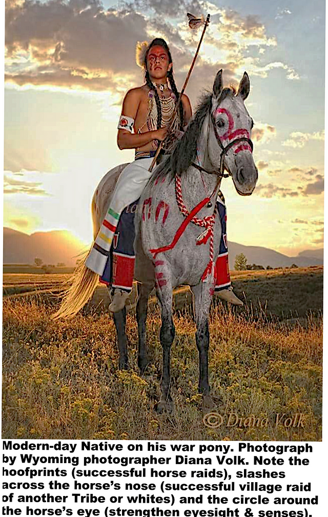 Indian warhorse paint