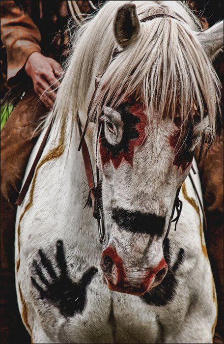 Indian symbols used on the war horse