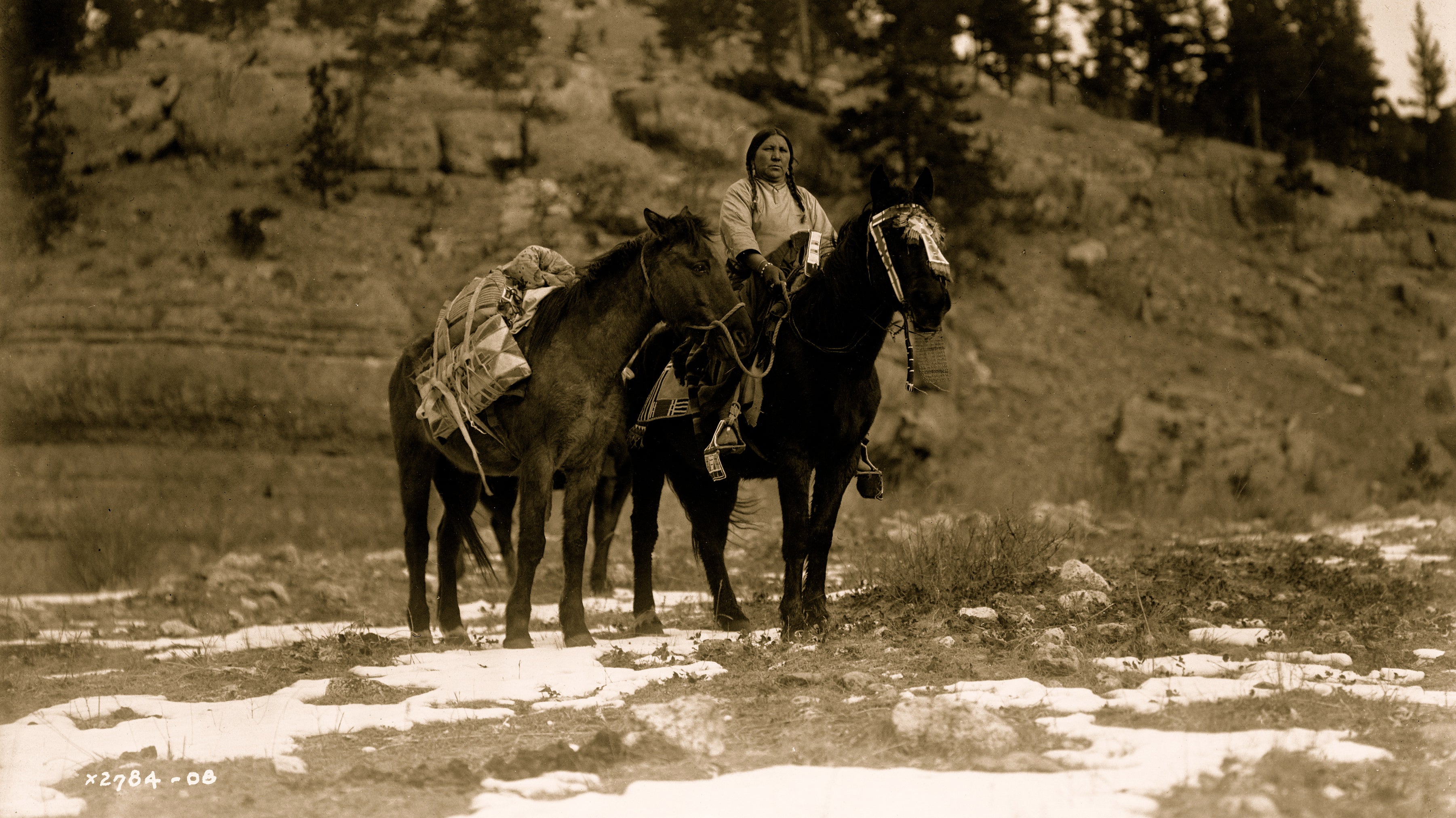 How horses transformed life for plains indians