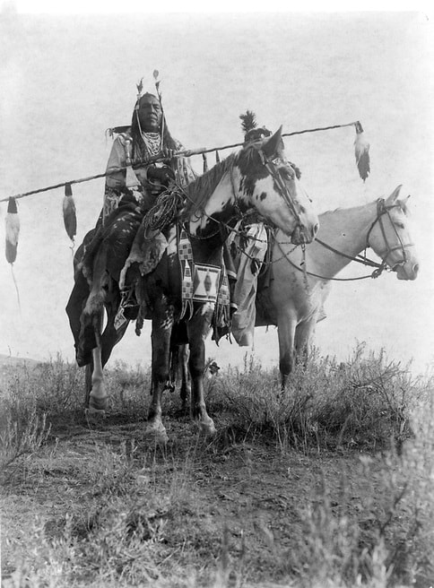 How horses revolutionized the lives of the plains indians