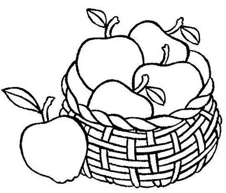 Fruit basket coloring pages printable for free download