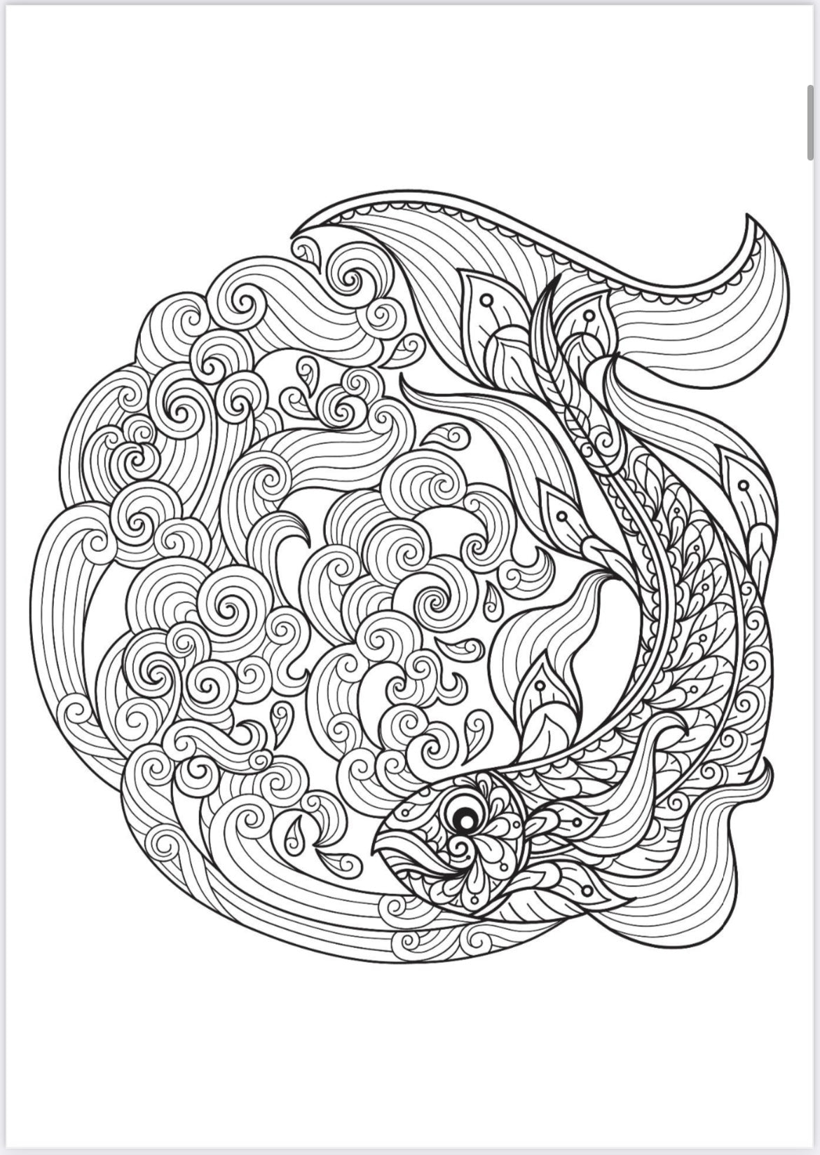 Adult coloring book