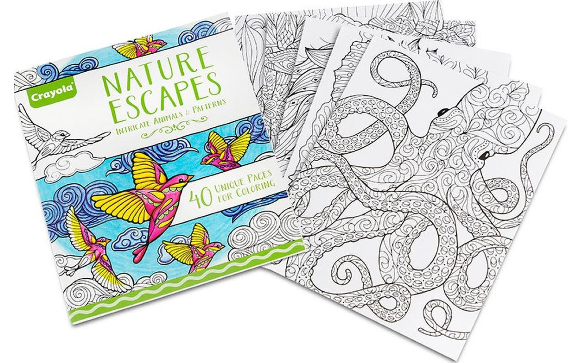 Nature escapes adult coloring book â books