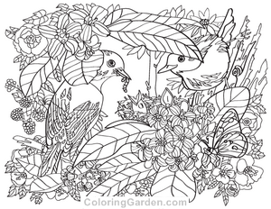 Nature adult coloring pages