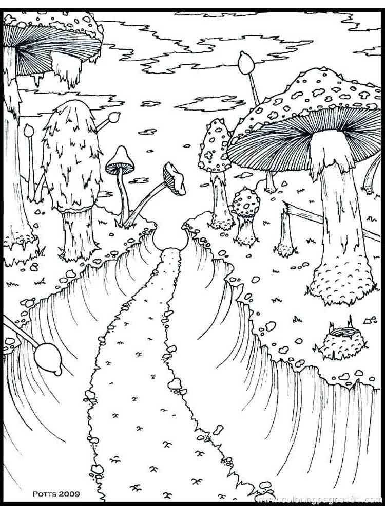 Nature coloring pages for adults