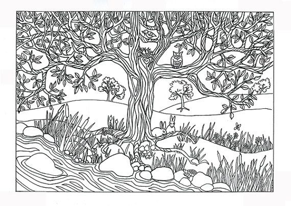 Adult coloring page nature coloring pages for adults nature page kids coloring free nâ coloring pages nature adult coloring pages animal coloring pages