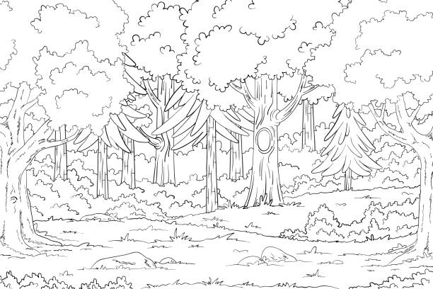 Coloring pages nature stock illustrations royalty