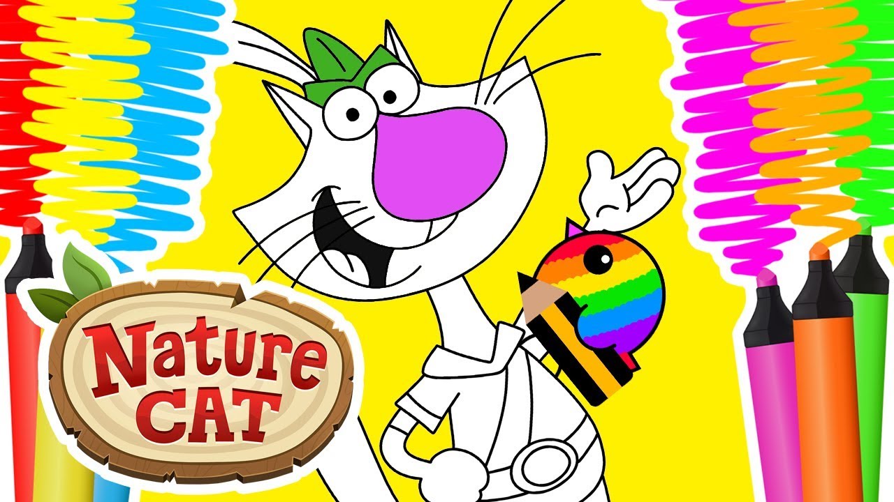 Drawing and coloring nature cat