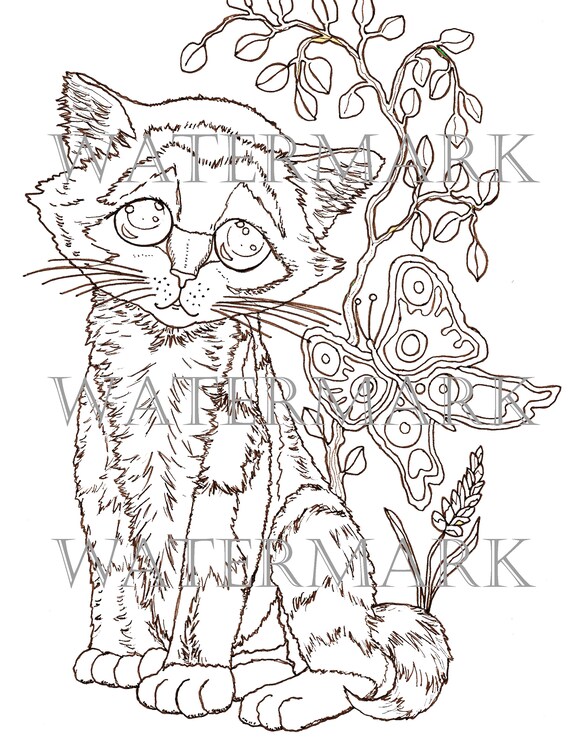 Cat kitten flowers nature big eyes butterfly png digital