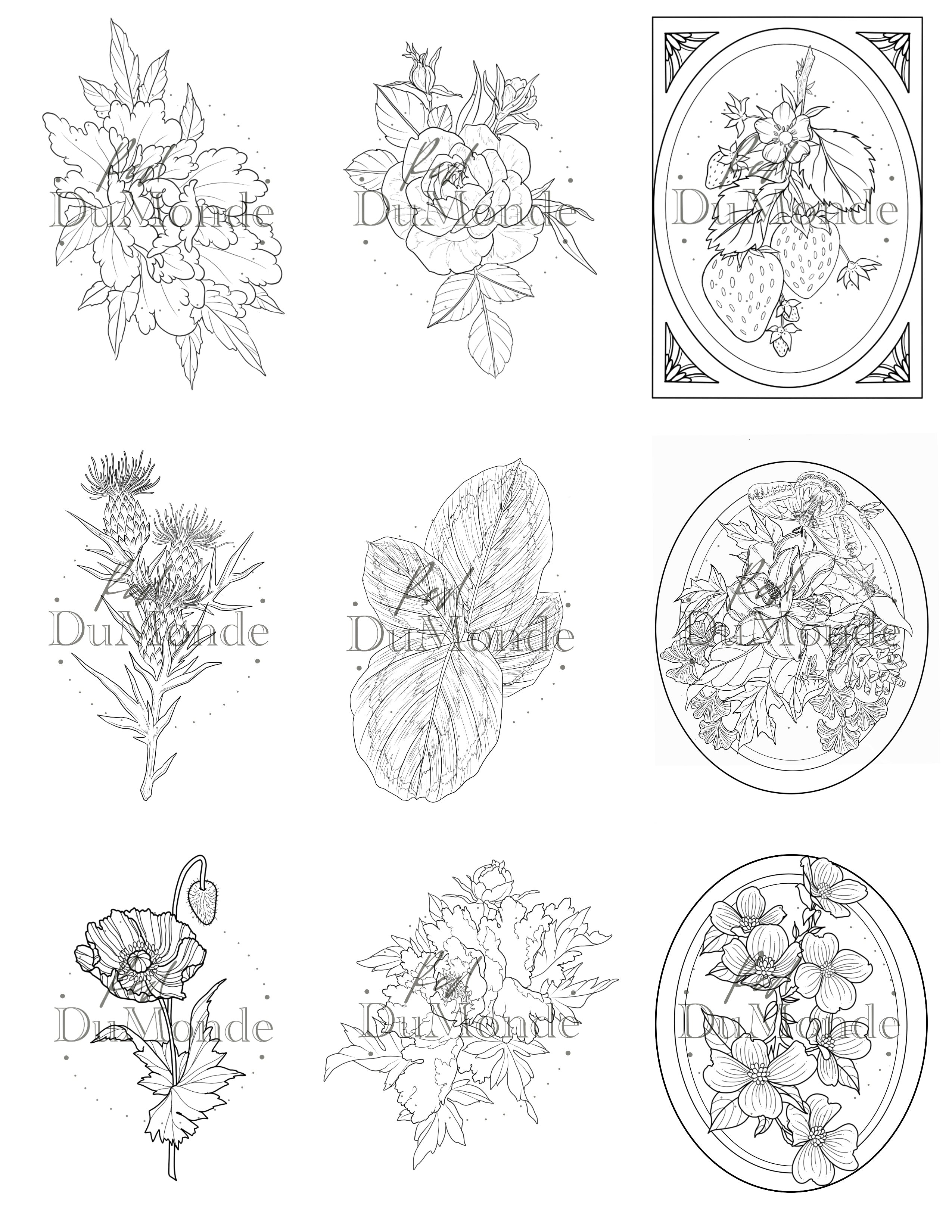 Nature coloring page bundle â red dumonde