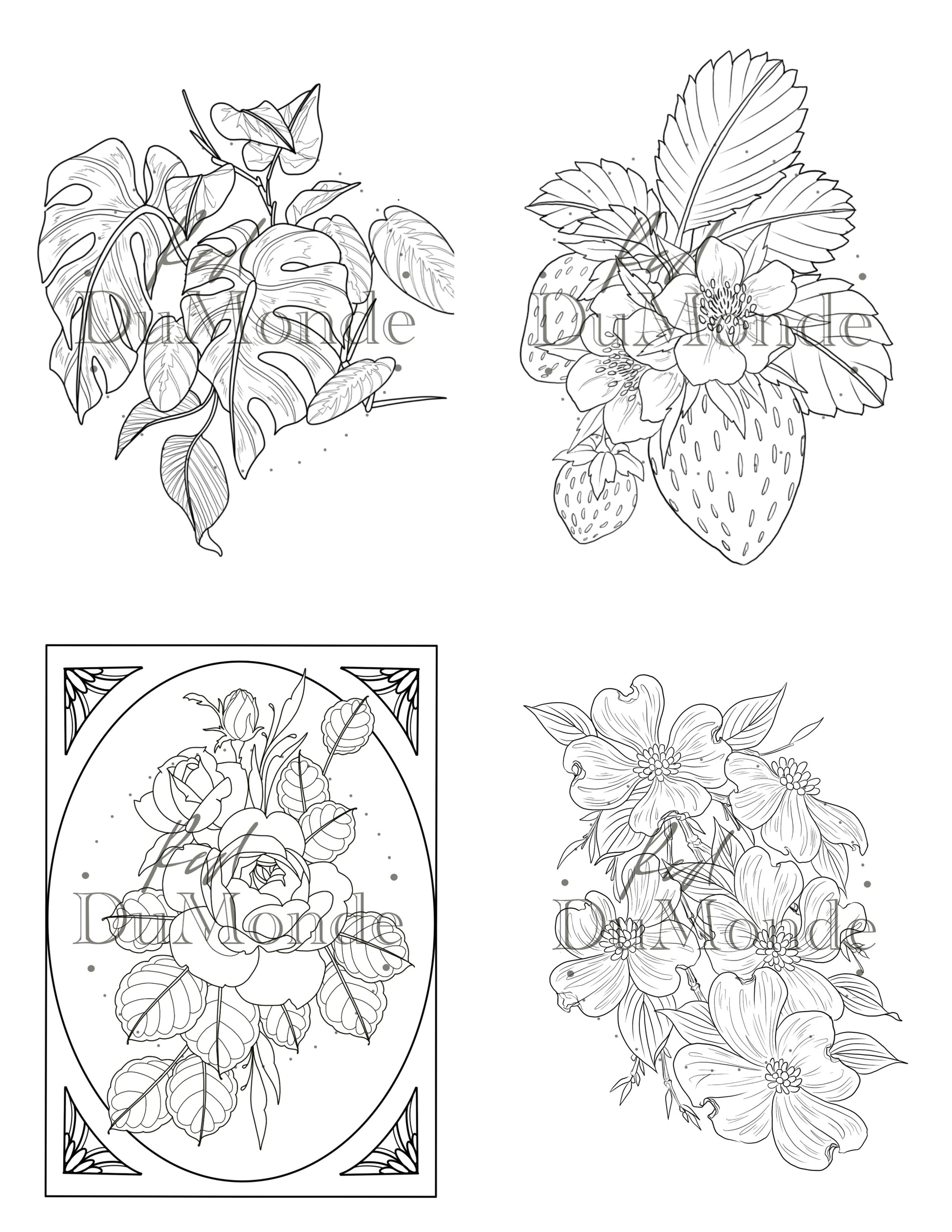 Nature coloring page bundle â red dumonde