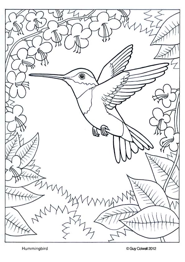 Animal coloring pages