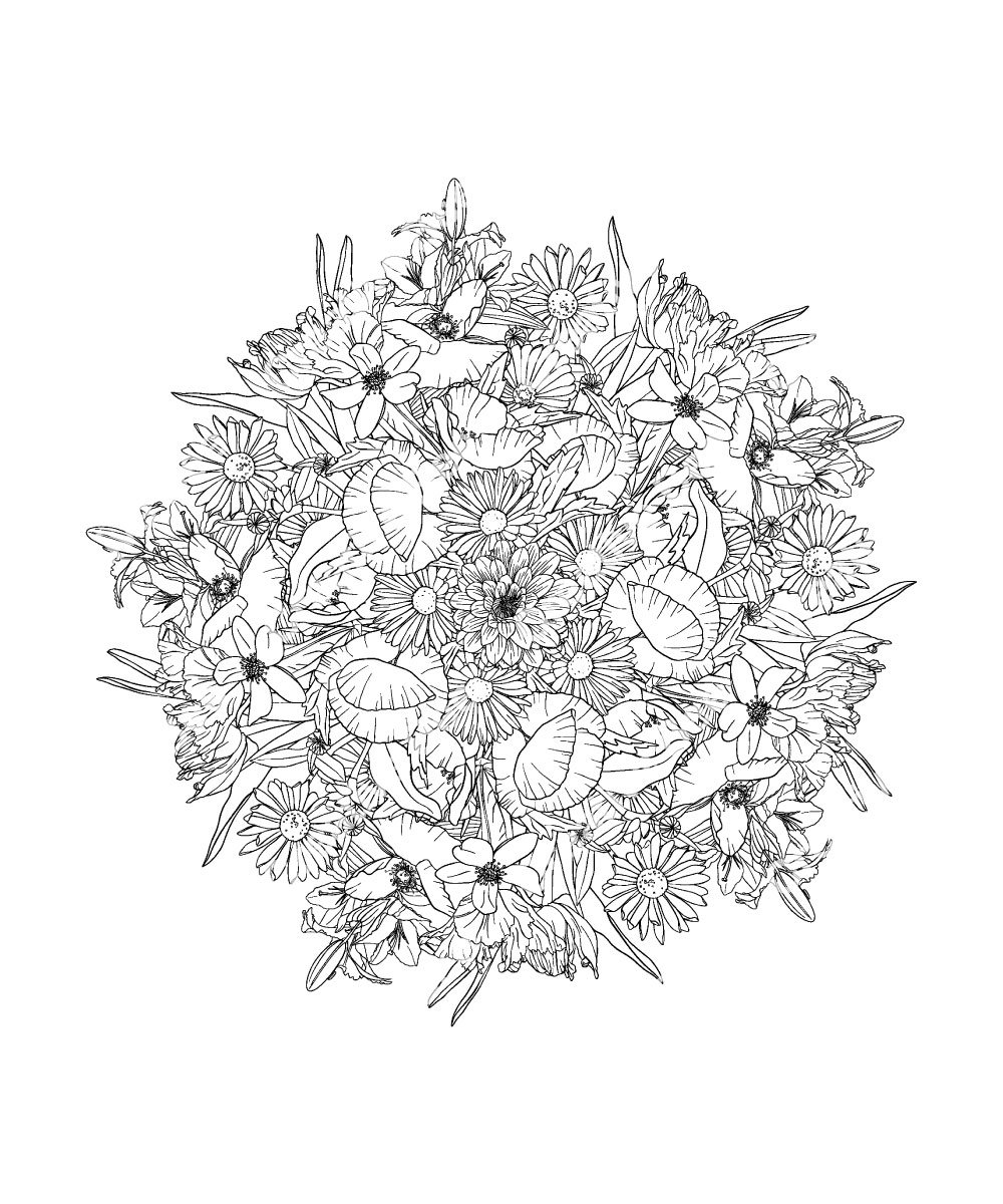 Nature mandalas coloring book